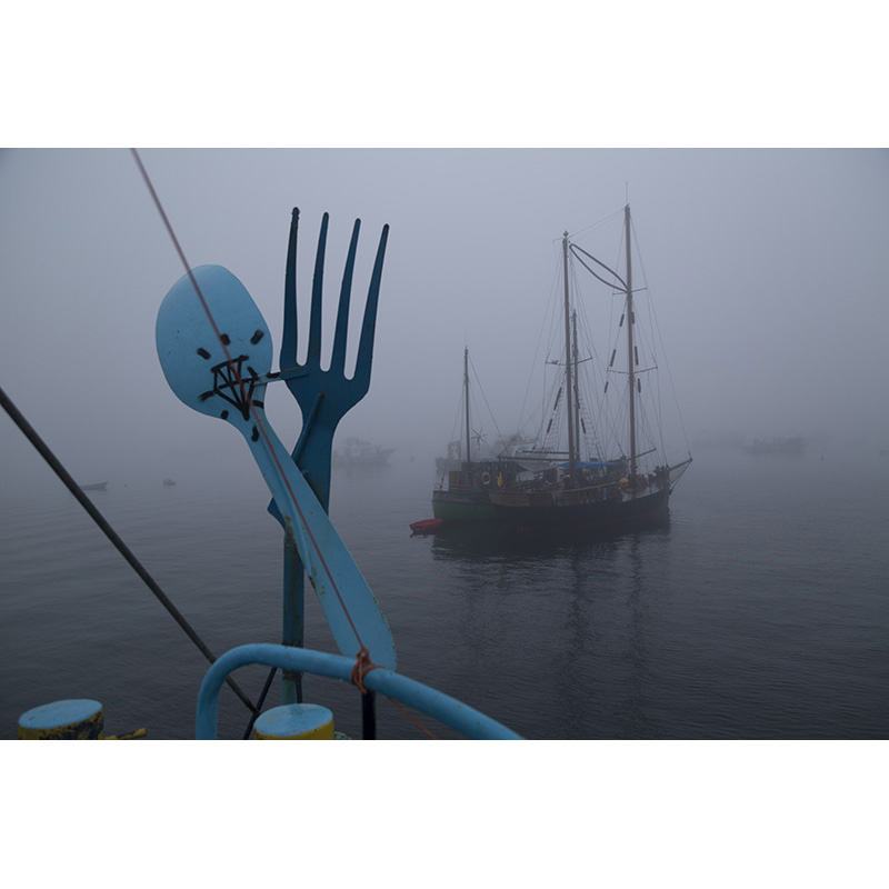 Azart Ship of Fools