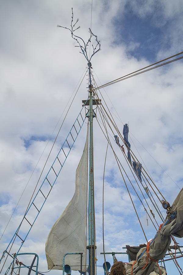 Azart Ship of Fools